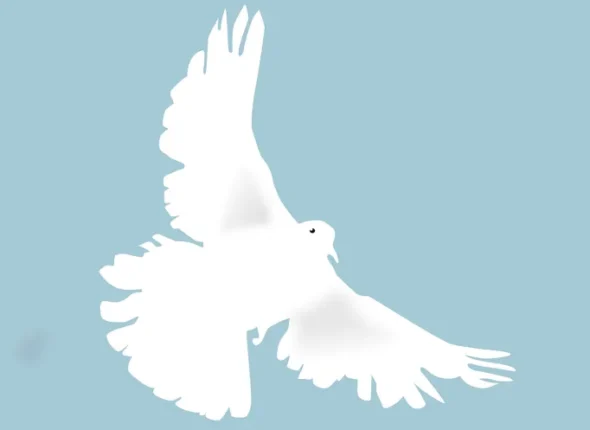 paz-em-coreano